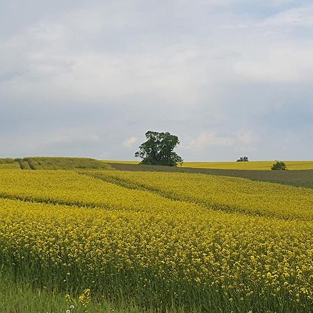 Auszeit Am Rosengarten, Zentrumsnah Guestrow Luaran gambar